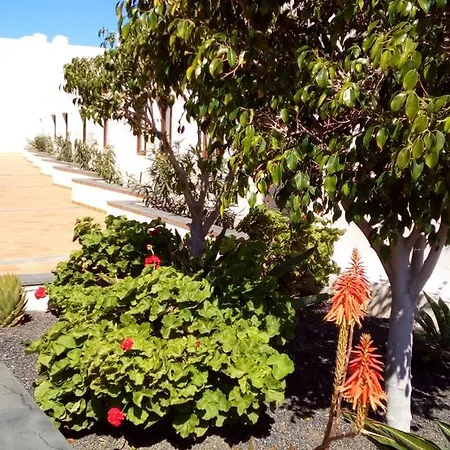 아파트 Lanzarote *